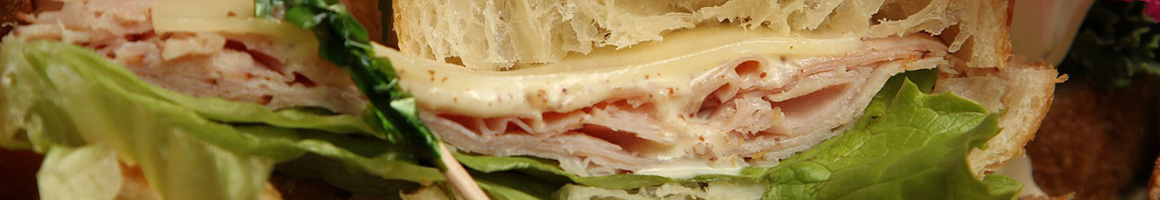 Eating Deli Sandwich Vegetarian at Hudson Street Deli restaurant in Providence, RI.